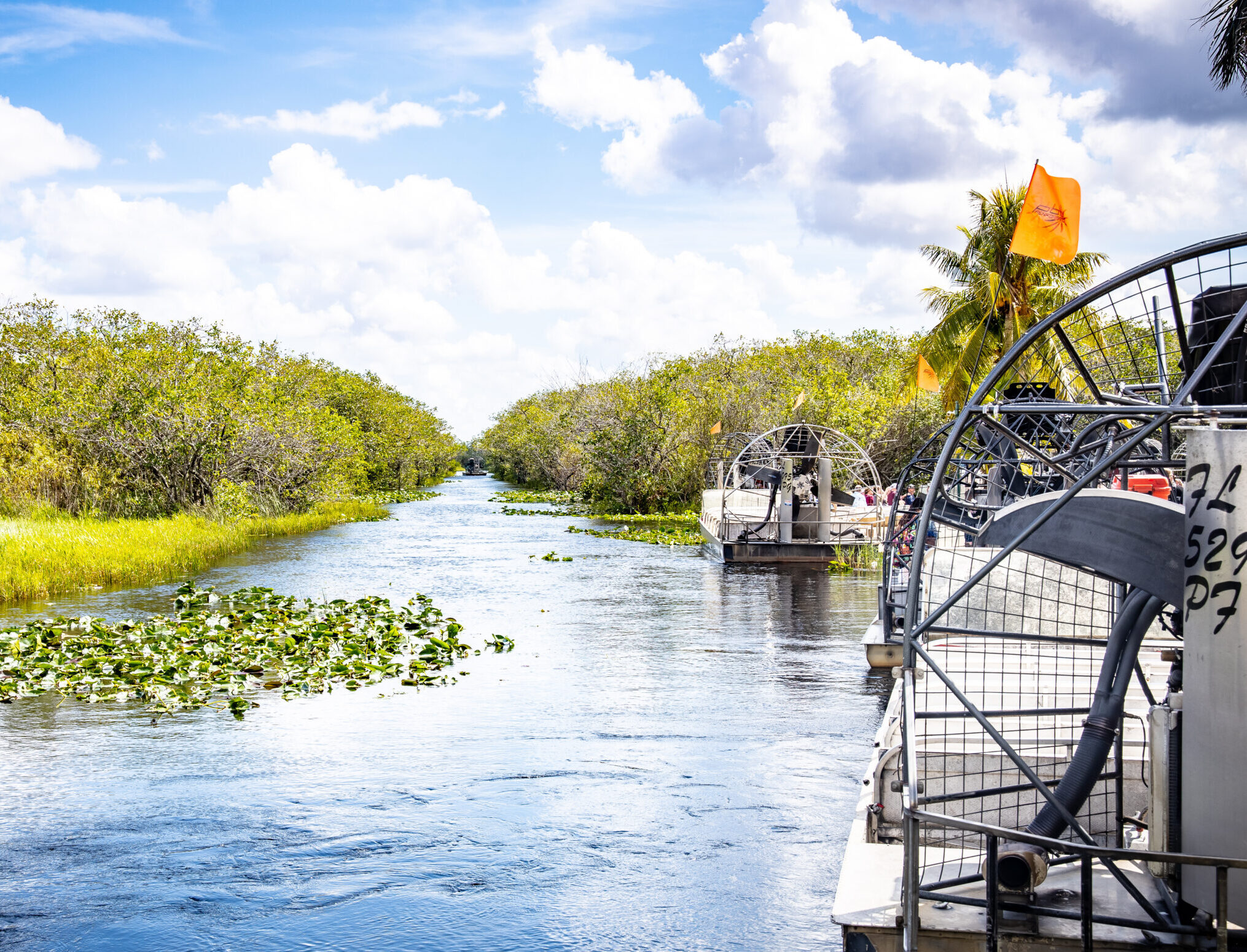 Everglades Day Trips: Your Guide to Exploring Florida’s Wild Side